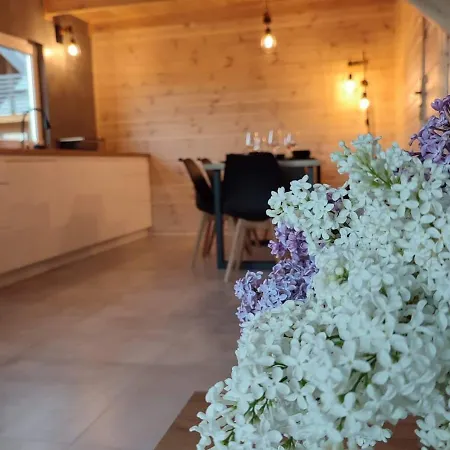 Vakantiehuis Sauna Balia - Nowa Osada Przy Plazy - Caloroczne Na Mazurach